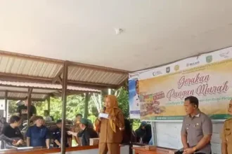 Img 20251017 Wa0005 1