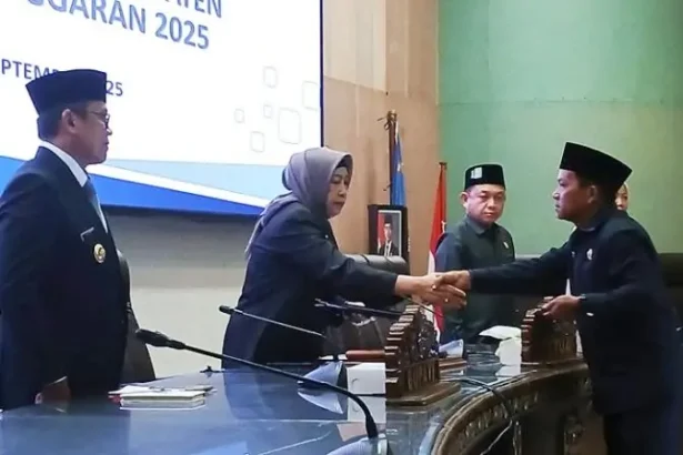 Juru Bicara Demokrat Ardianto