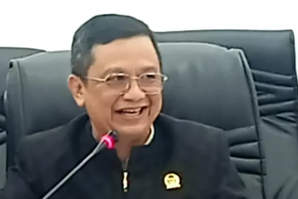 Ketua Fraksi PDI Perjuangan DPRD Barito Utara, H Taufik Nugraha