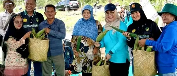 Acara Tanam Cabai Rawit Dan Cabai Besar Bersama Yang Digelar Oleh Dinas Pertanian Barito Utara Dan Tp Pkk Barito Utara Berlangsung Lancar.