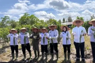 Img 20251106 Wa0078(1)