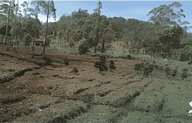 Lindungihutan Buka Lima Lokasi Penanaman Baru, Pangalengan Jadi Titik Penting Reforestasi Jawa Barat