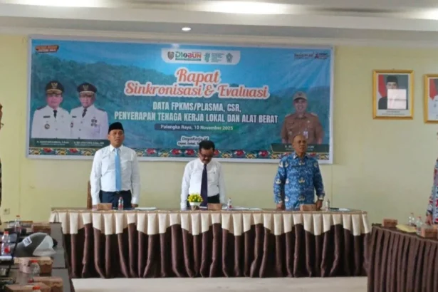 Rapat Sinkronisasi