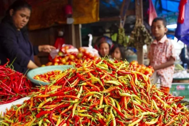 Harga Cabai