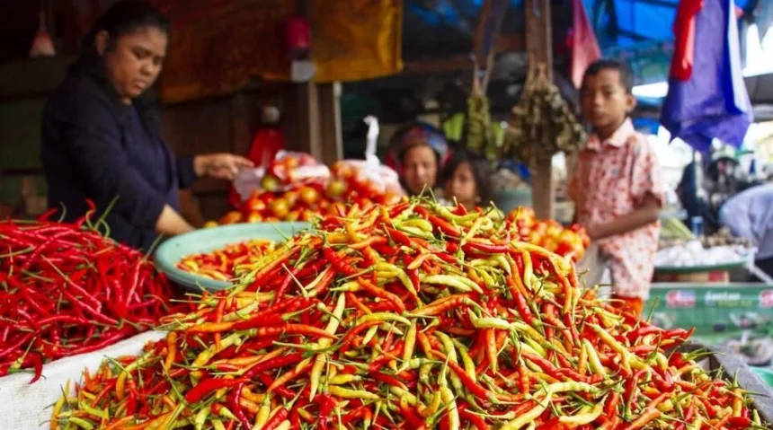 Harga Cabai