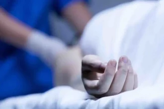 Ilustrasi Korban Flu Babi