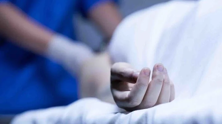 Ilustrasi Korban Flu Babi