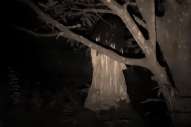 Ilustrasi Kuntilanak