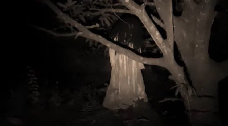 Ilustrasi Kuntilanak