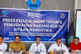 Bnnp Rilis Akhir Taun