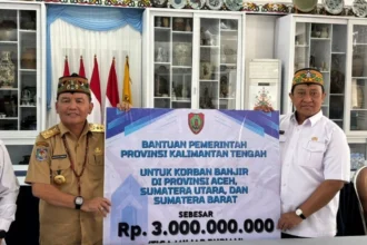 Bantuan Bencana1