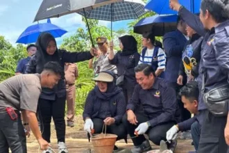 Img 20251206 Wa0055 1