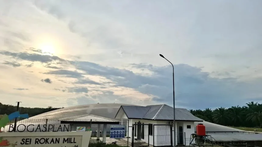 Ptpn Iv Regional Iii Resmikan Ptbg Sei Rokan