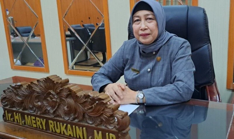 Ketua DPRD Kabupaten Barito Utara, Mery Rukaini