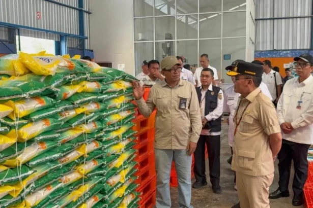 Stok Beras