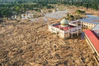 Batang Kayu Menumpuk Di Aceh Tamiang Pascabanjir