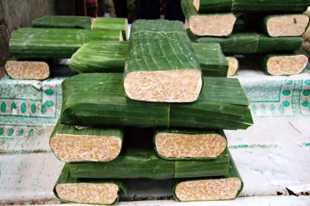 Tempe Daun11
