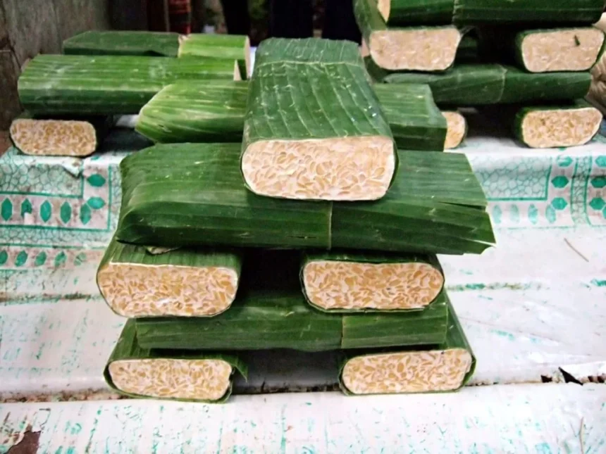 Tempe Daun11