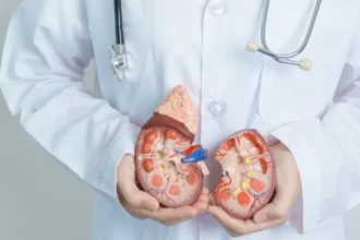 Pemeriksaan Fungsi Ginjal