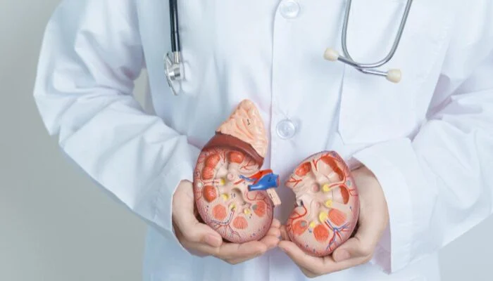 Pemeriksaan Fungsi Ginjal