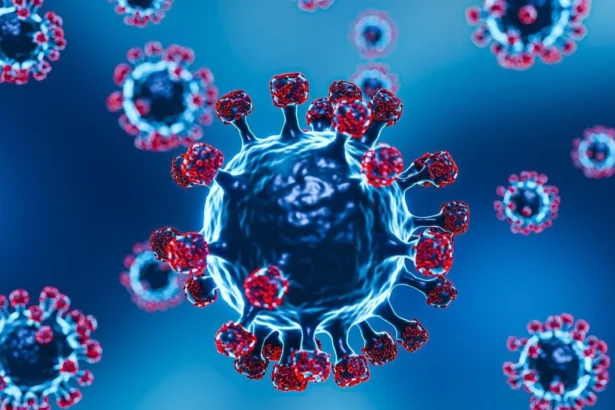 Ilustrasi Virus Nipah