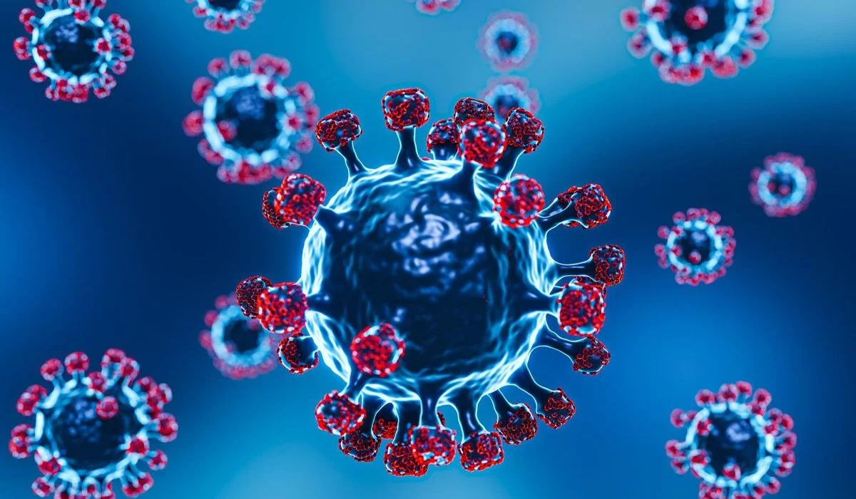 Ilustrasi Virus Nipah