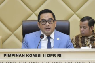 Rifqinizamy Karsayuda