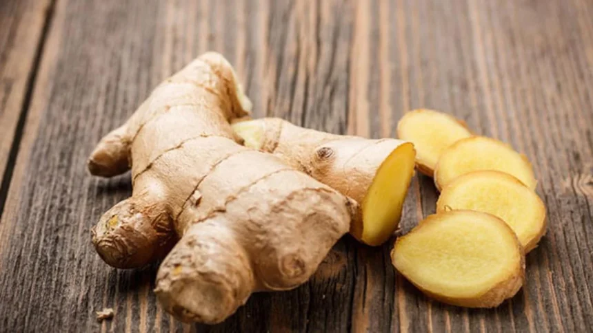 Manfaat Kunyit Putih