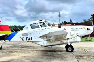 Pesawat Pelita Air