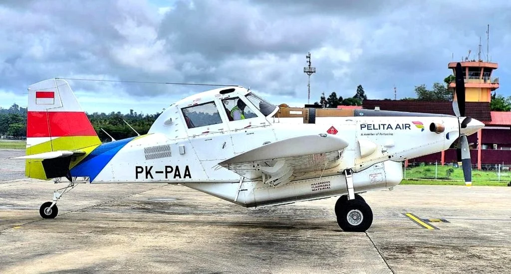 Pesawat Pelita Air
