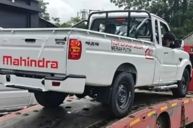 Pikap India