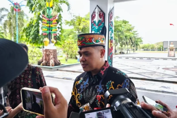 Kadisdik Kltg2