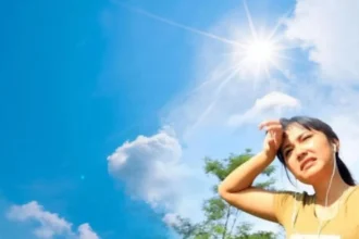 Gelombang Cuaca Panas