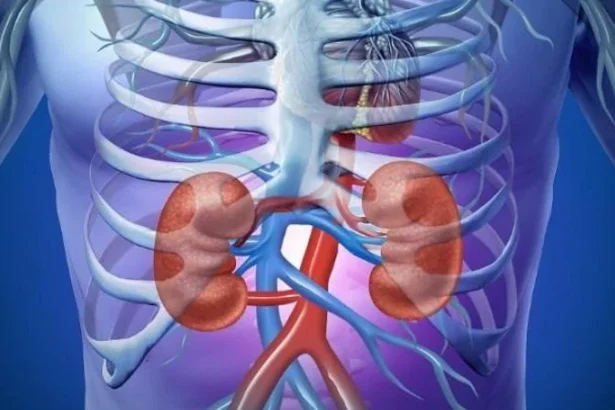 Tanda Penyakit Ginjal