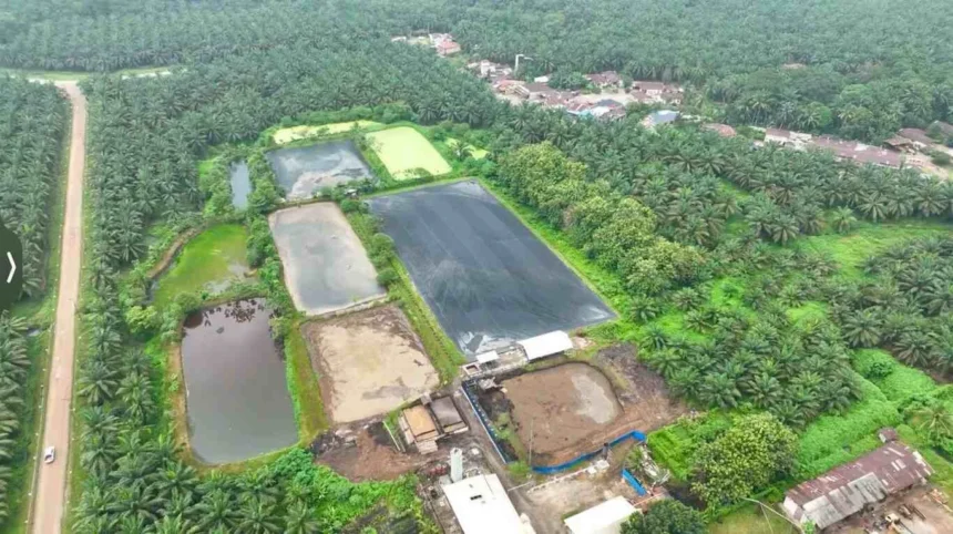 Hadapi Gejolak Energi Global, Holding Perkebunan Nusantara Andalkan Pltbg Palmco