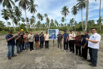 Holding Perkebunan Nusantara Kembangkan Hilirisasi, Ptpn I Fokus Replanting Di Pulau Seram