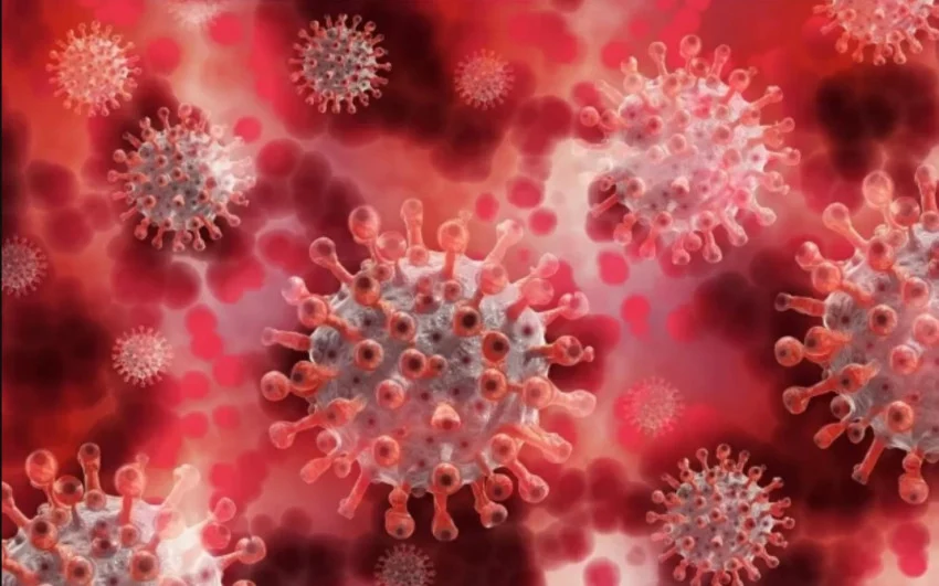 Ilustrasi Varian Baru Covid 19 Cicada