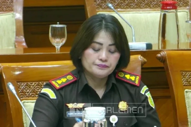 Kajari Karo Danke Rajagukguk