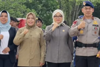 Pengamann Mudik