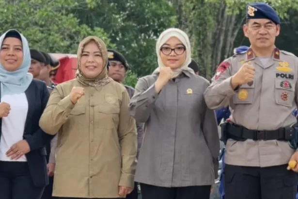Pengamann Mudik