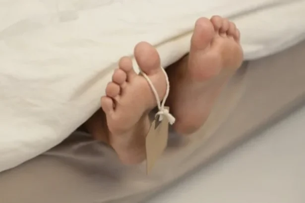 Ilustrasi Mayat Perempuan Di Sampit