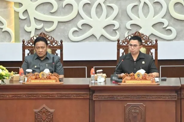 Pembentukan Pansus
