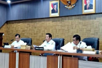 Pengangguran Barito Utara