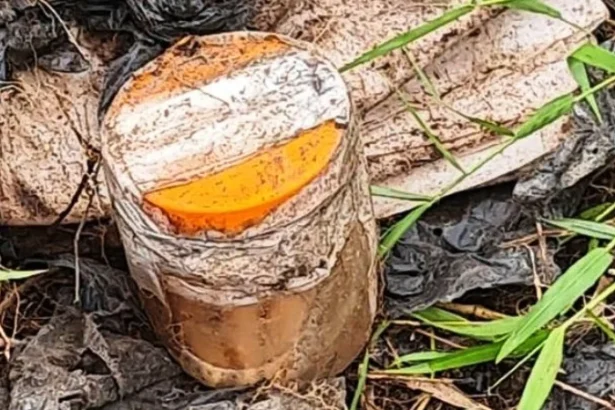 Toples Isi Jari Manusia