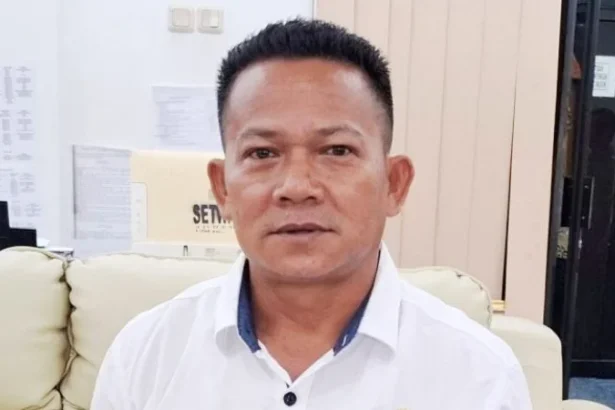 Anggota Dprd Barito Utara, Ardianto