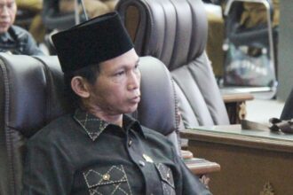 Anggota Dprd Barito Utara, Patih Herman Ab