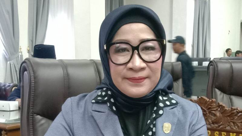 Ketua Komisi I Dprd Barito Utara, Hj Nety Herawati