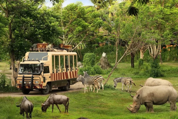 Taman Safari Indonesia Siap Dukung Transformasi Kebun Binatang Bandung Sebagai Lembaga Konservasi Modern (1)