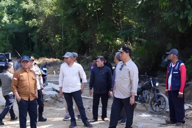 Cek Jembatan