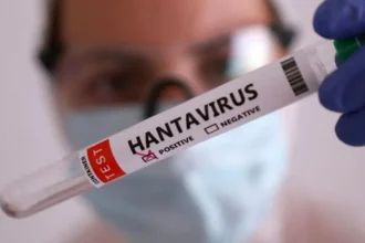 Gejala Hantavirus